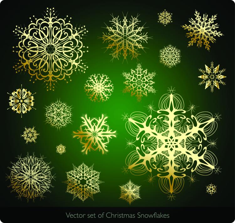free vector Beautiful snowflake pattern 04 vector